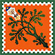 Selva