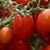 Pomodori!!!