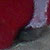 Cesar Rincon