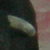 Juan Bautista